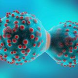 Professor Vassilis Gorgoulis Publishes Study in the High-impact Journal Molecular Cancer